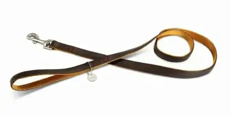 Купить beeztees Поводок для собак нейлон и искусственная кожа, коричневый