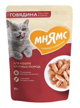 Купить Мнямс Влажный корм Кусочки в соусе с говядиной для крупных кошек (пауч)
